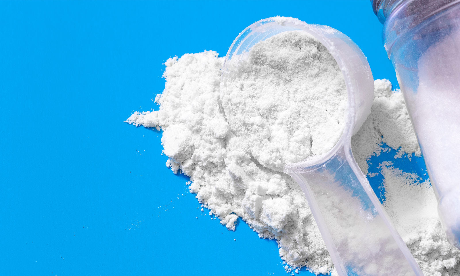 6 Interesting Facts About Creatine
