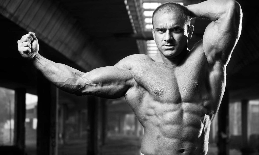 The Top 4 Amino Acids For Joint Pain Canadian Protein