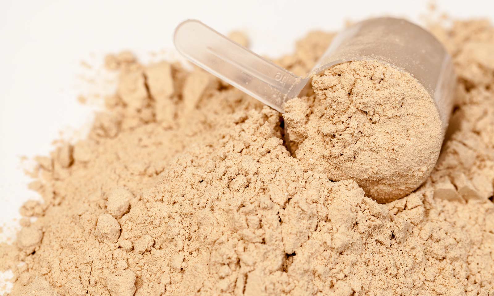 6 Things To Look For When Selecting A Protein Supplement