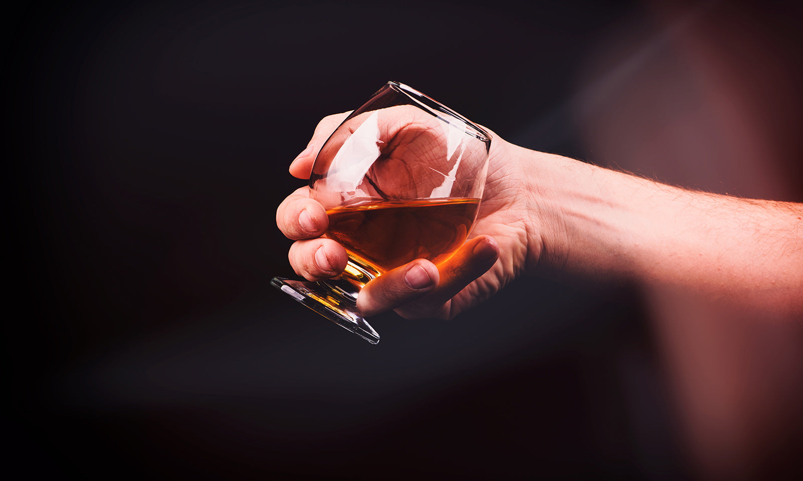 Several Ways in Which Alcohol Can Halt Your Fitness Progress