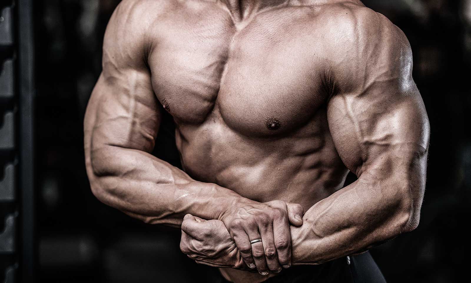 Vital Things To Know If You’re Trying To Bulk Up
