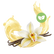 Natural Vanilla (Stevia)