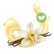Natural Vanilla (Stevia)