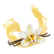 Vanilla