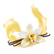 Vanilla